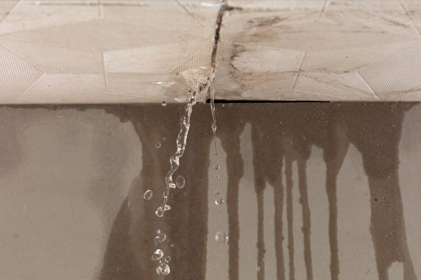 Professional Structural Drying technician working in Morristown, NJ